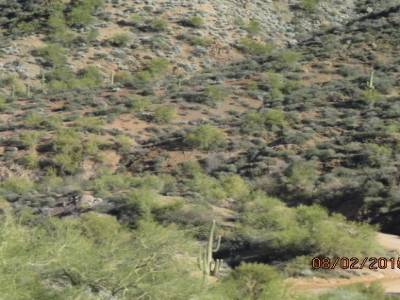 phoenix, route des appaches, arizona,usa