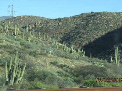 phoenix, route des appaches, arizona,usaq