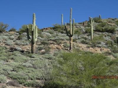 route des apaches,superstition mountains,arizona,usa