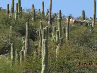 gates pass,désert de sonora,pres de tucson,arizona,usa