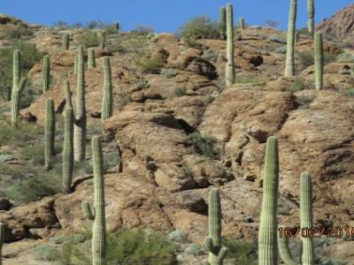 gates pass,désert de sonora ,pres de tucson,arizona,usa