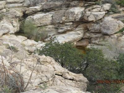 mont lemmon,pres de tucson,arizona,usa