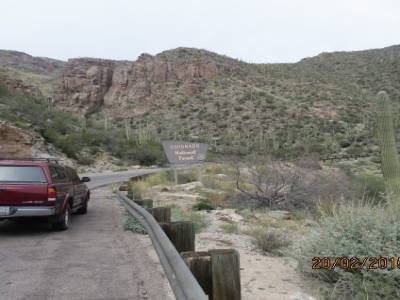 mont lemmon ,pres de tucson,arizona,usa