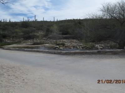 sabino,canyon trail, pres de tucson,arizona,usa