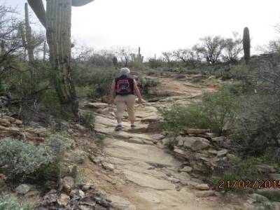 sabino canyon trail,pres de tucson,arizona,usa