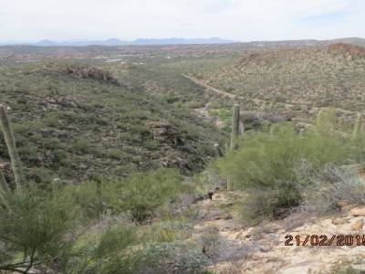 sabino,canyon trail, pres de tucson,arizona,usa