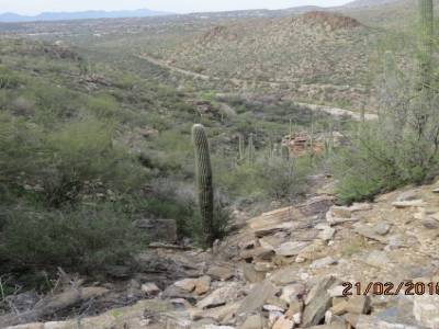 sabino,canyon trail, pres de tucson,arizona,usa