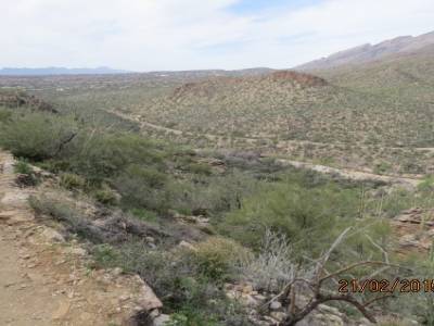 sabino,canyon trail, pres de tucson,arizona,usa