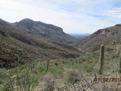 sabino,canyon trail, pres de tucson,arizona,usa
