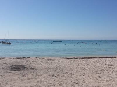 akumal 3 - le site des tortues 