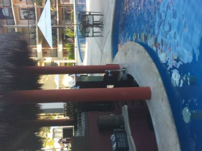 piscine bar