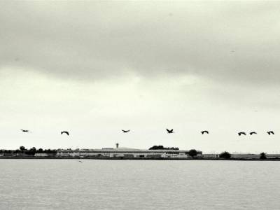 Iles Balestas