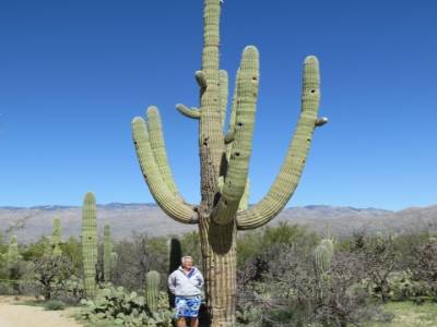 tucson,arizona,usa