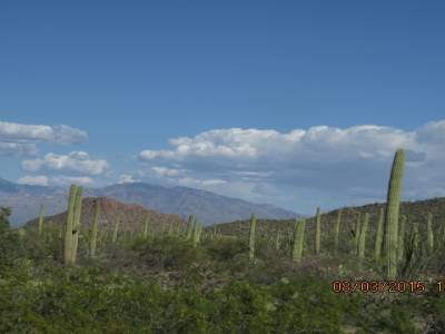 tucson,arizona,usa