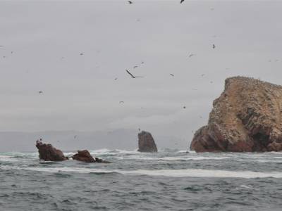 Iles Balestas
