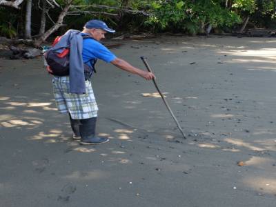 Traces de crocodiles
