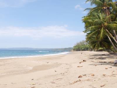 Playa Tambor