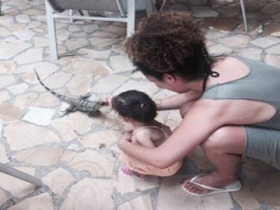 Iguane adoption