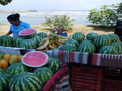 Farm's market