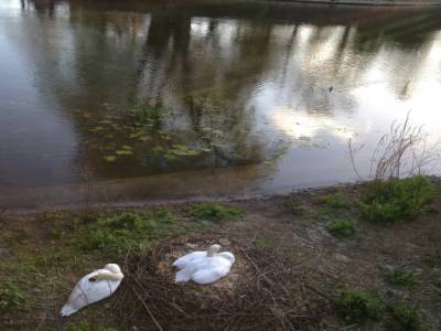 Trowbridge