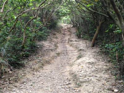 HK trek