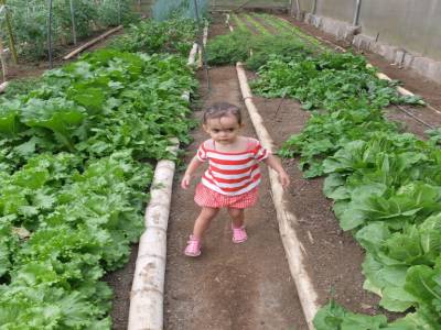 Green house