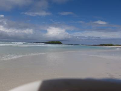 Tortuga beach