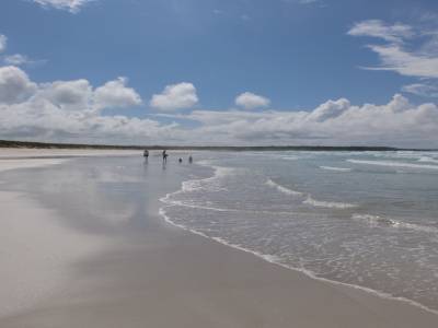 Tortuga beach
