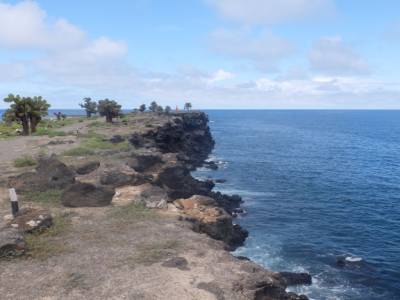Galapagos