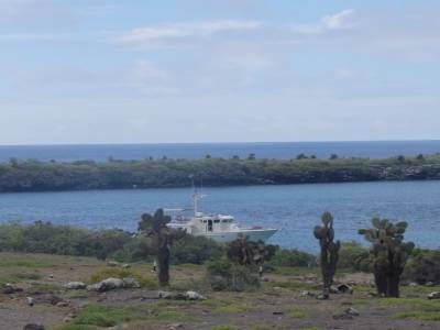 Galapagos