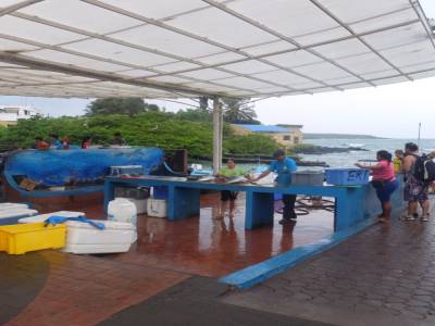 Marché au poisson