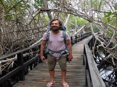 Ballade en mangrove de lave