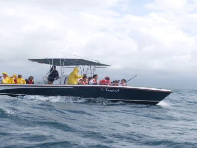 le bateau