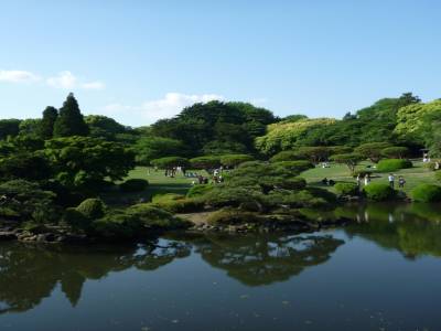 Shinjuku park