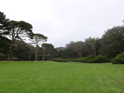 golden gate park