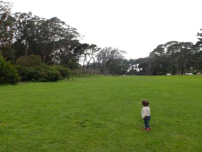 golden gate park