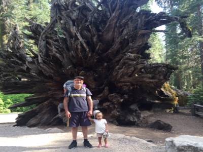 Mariposa Grove