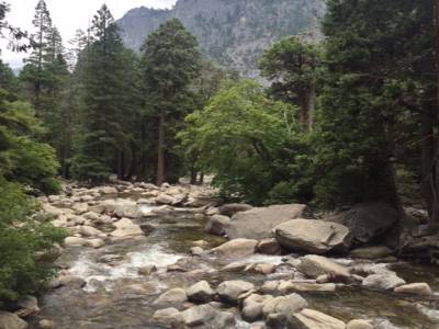Yosemite valley