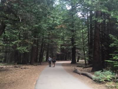 Yosemite valley