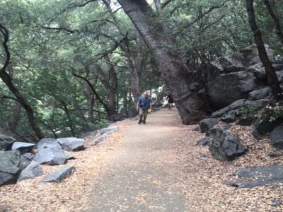 Yosemite valley
