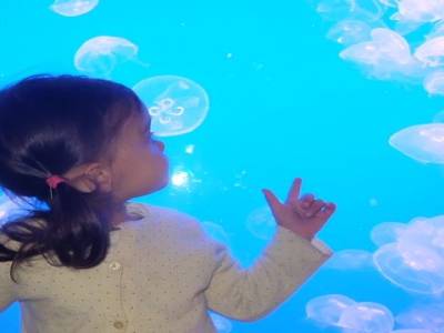 Aquarium de Monterrey