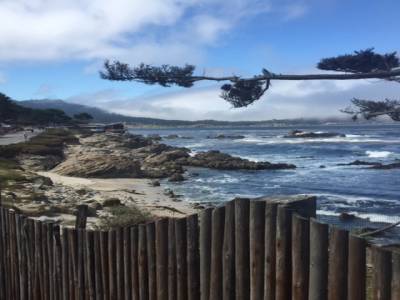 Carmel beach