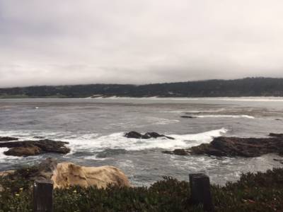 Carmel beach