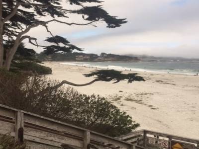Carmel beach