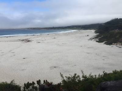 Carmel beach