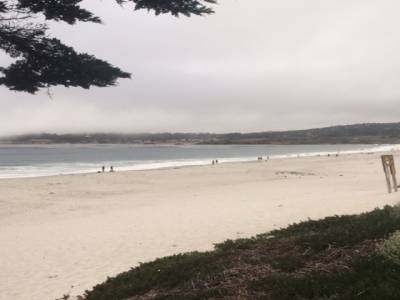 Carmel beach