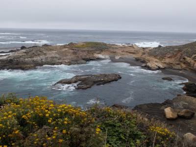 Point lobos