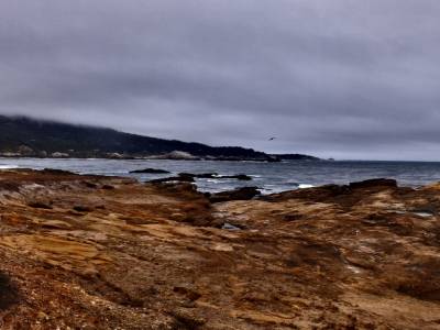 Point lobos