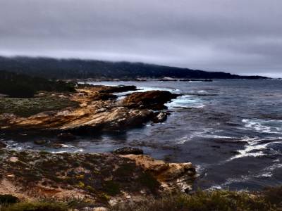 Point lobos