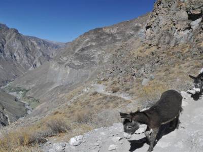 Trel Canyon del Colca